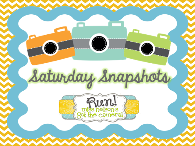 Saturday Snapshots